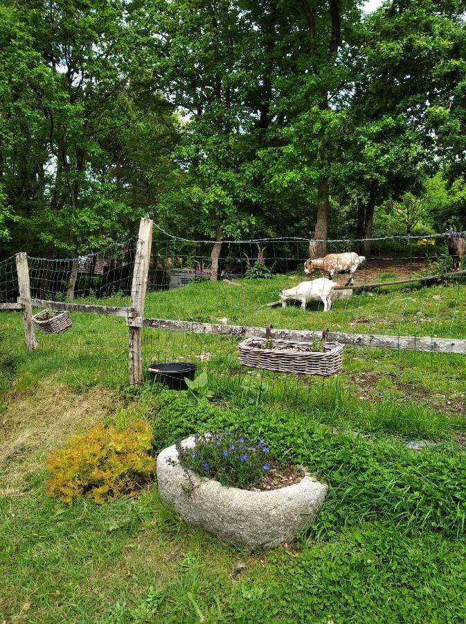 Maison de charme dans un environnement très calme Morlaix Extérieur photo