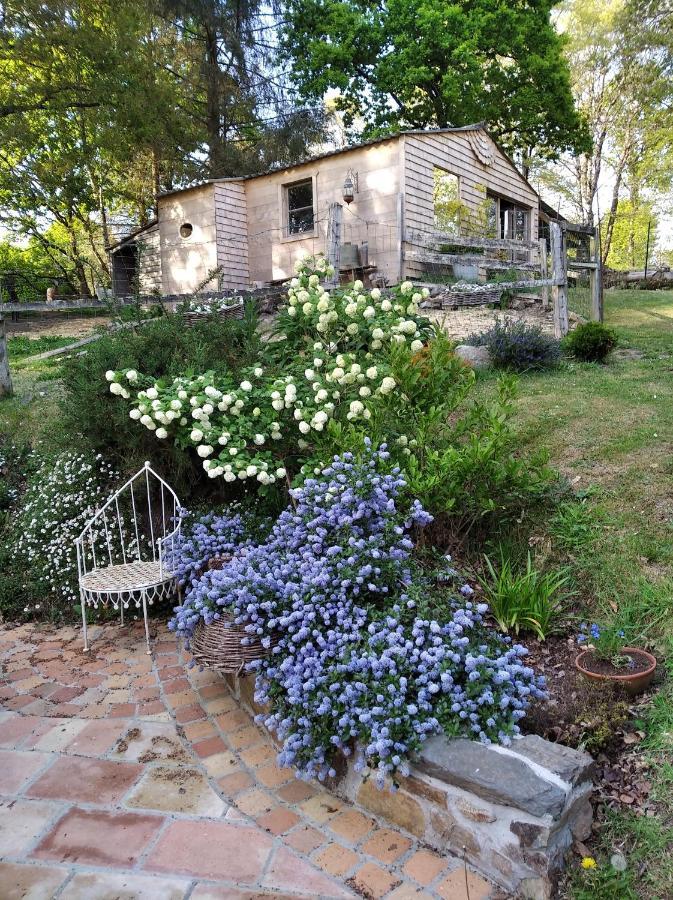 Maison de charme dans un environnement très calme Morlaix Extérieur photo