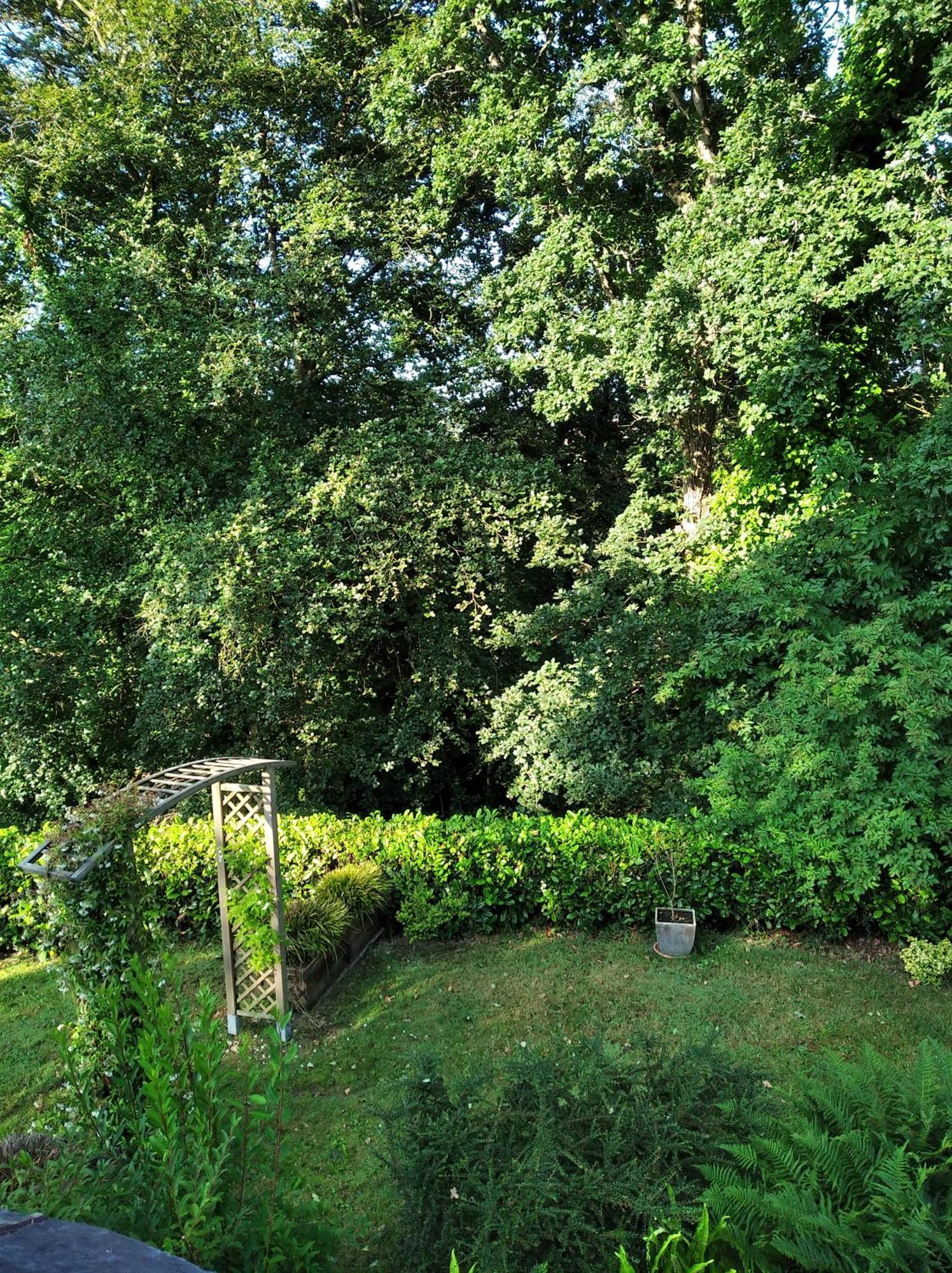 Maison de charme dans un environnement très calme Morlaix Extérieur photo